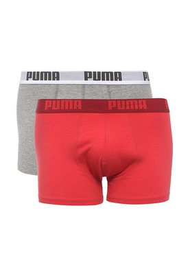 Puma   2 . PUMA BASIC TRUNK 2P